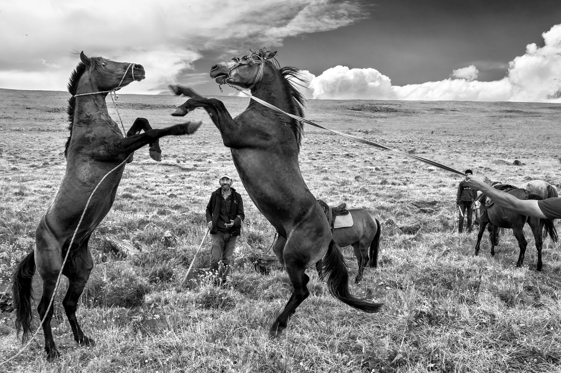 Shadows of Kurdistan